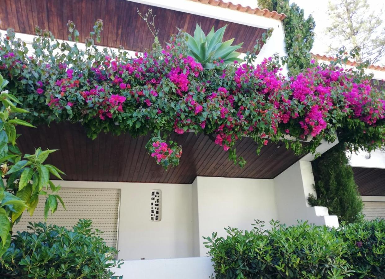Solar De Sao Joao Appart hôtel
